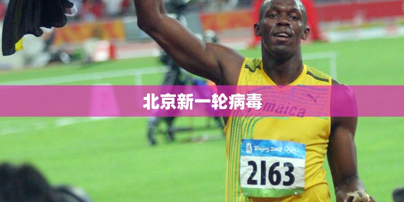 北京新一轮病毒