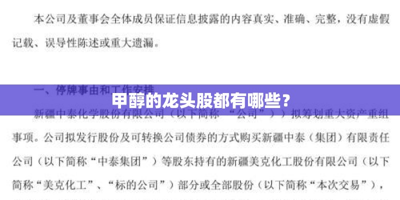 甲醇的龙头股都有哪些？
