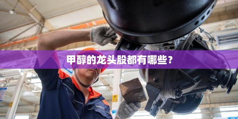 甲醇的龙头股都有哪些？