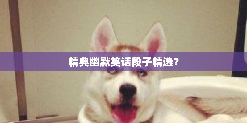 精典幽默笑话段子精选？
