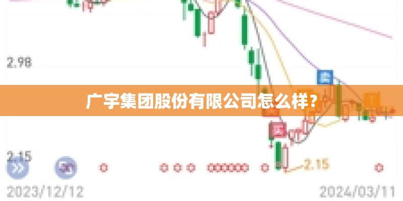 广宇集团股份有限公司怎么样？