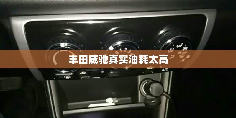 丰田威驰真实油耗太高
