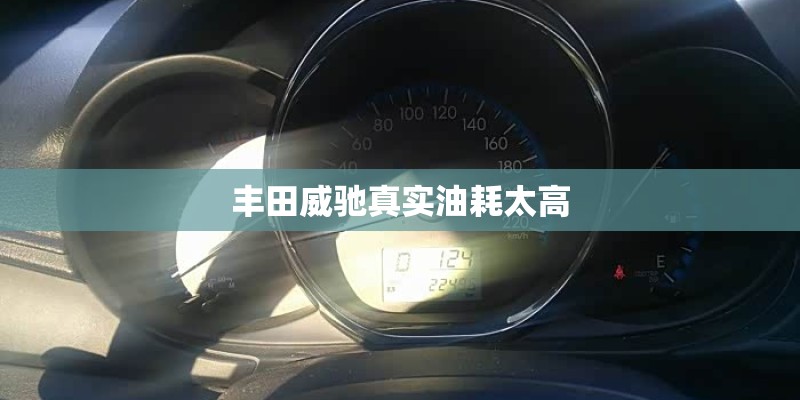 丰田威驰真实油耗太高