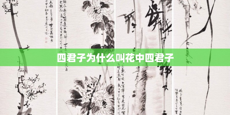 四君子为什么叫花中四君子