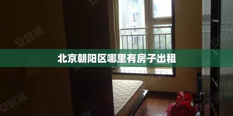 北京朝阳区哪里有房子出租
