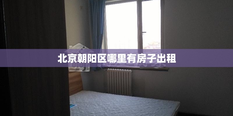 北京朝阳区哪里有房子出租