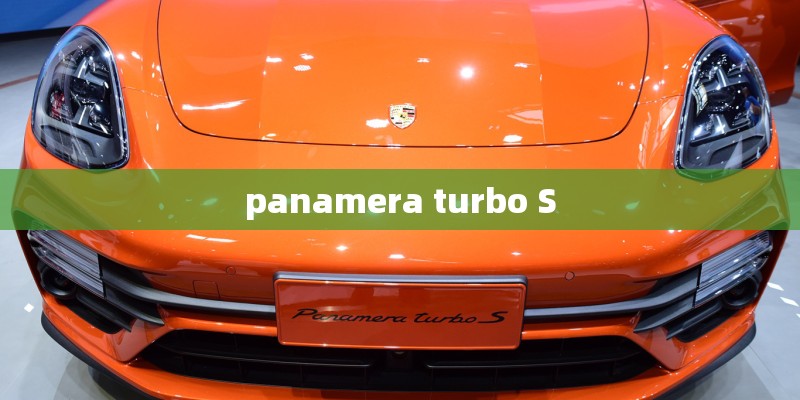 panamera turbo S