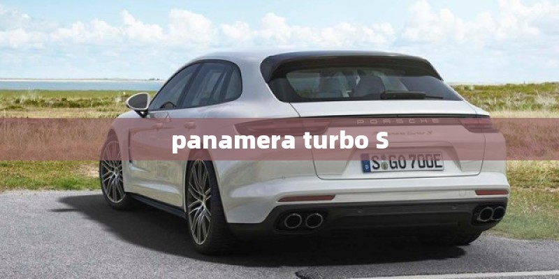 panamera turbo S