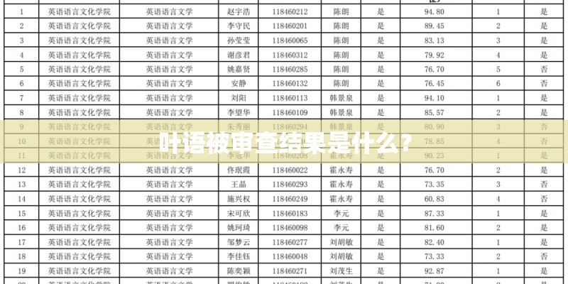 叶语被审查结果是什么？
