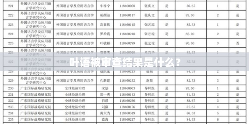 叶语被审查结果是什么？