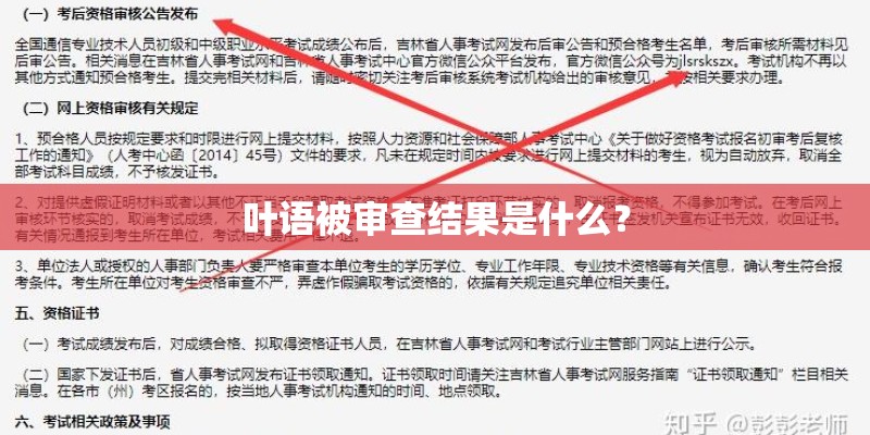 叶语被审查结果是什么？