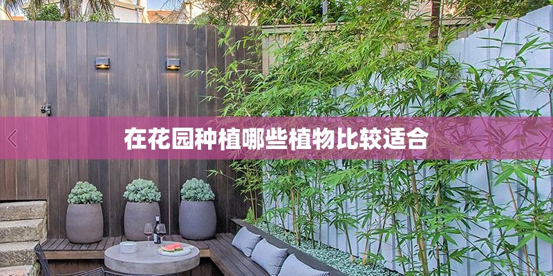 在花园种植哪些植物比较适合