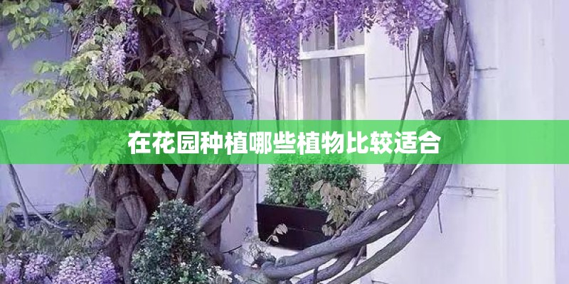 在花园种植哪些植物比较适合