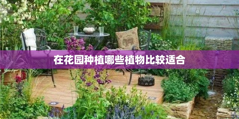 在花园种植哪些植物比较适合