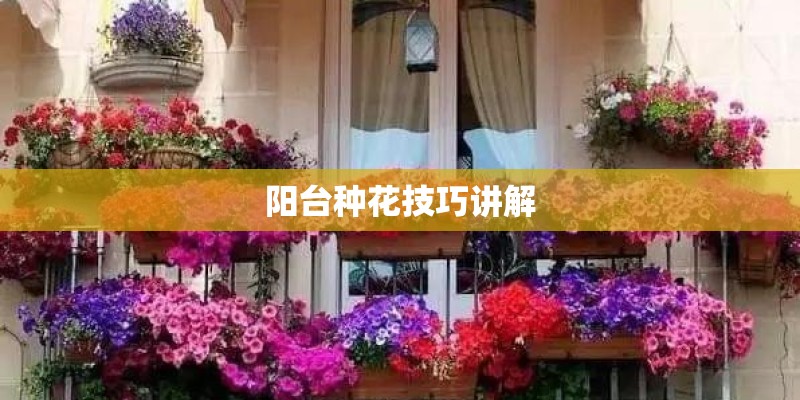 阳台种花技巧讲解