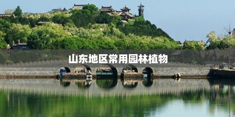 山东地区常用园林植物