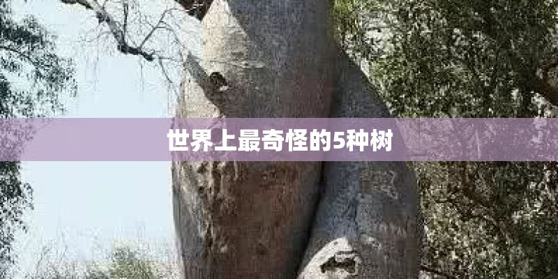 世界上最奇怪的5种树