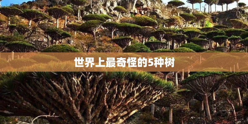 世界上最奇怪的5种树
