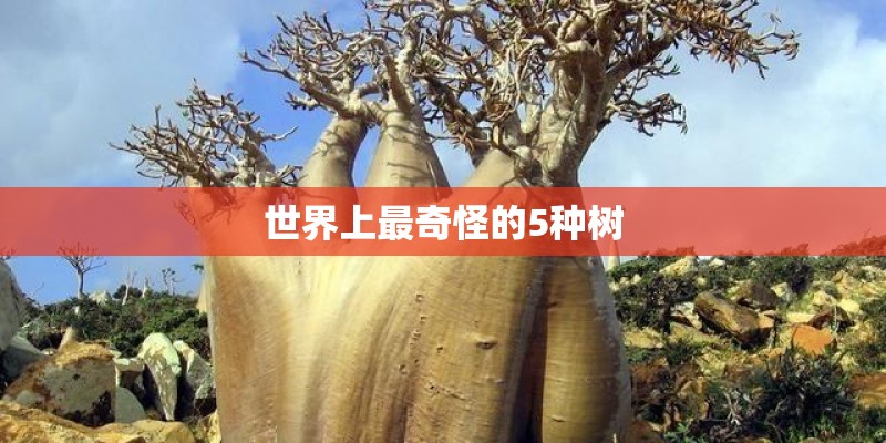 世界上最奇怪的5种树