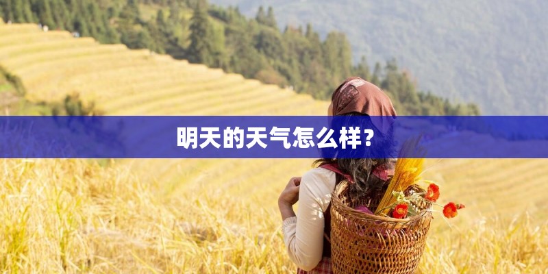 明天的天气怎么样？