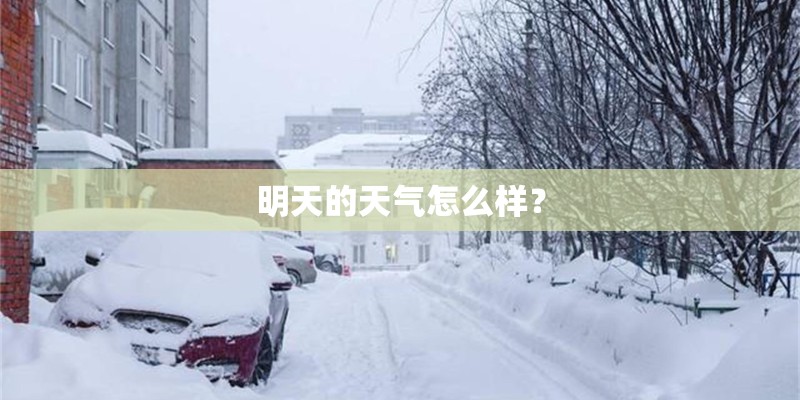 明天的天气怎么样？