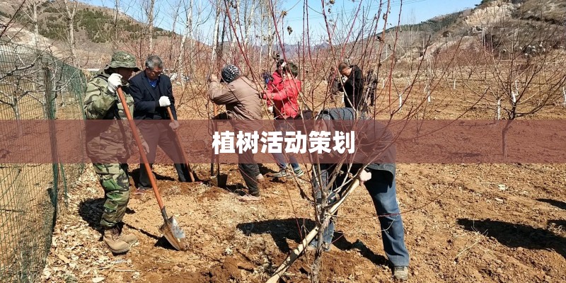 植树活动策划