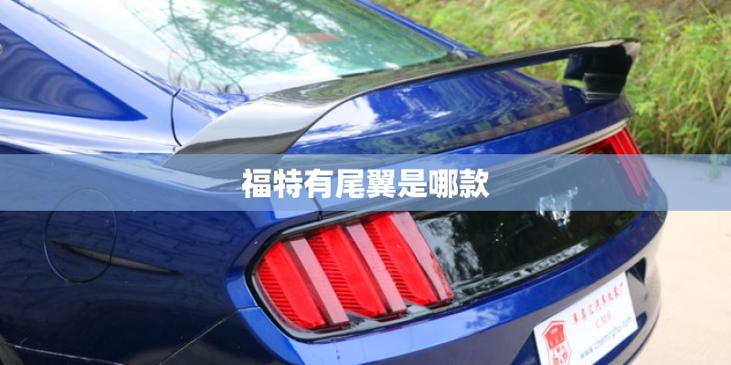福特有尾翼是哪款