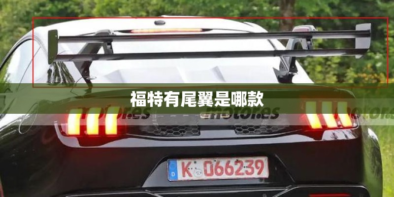 福特有尾翼是哪款