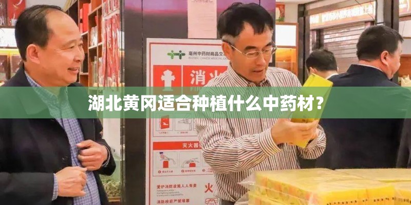 湖北黄冈适合种植什么中药材？
