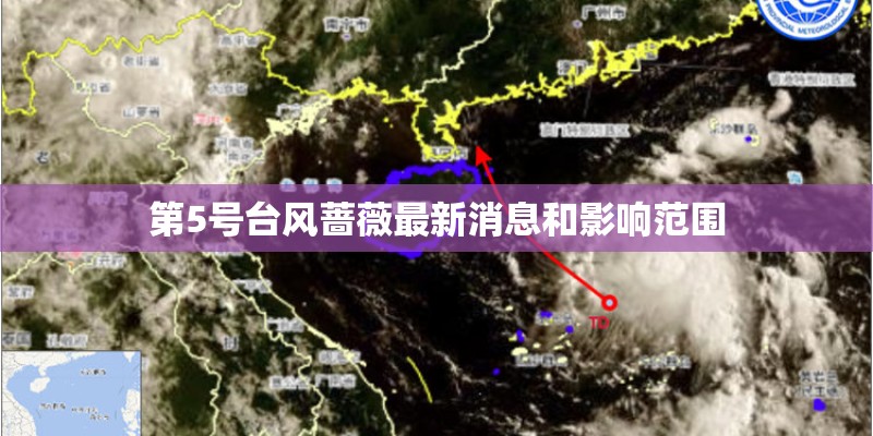 第5号台风蔷薇最新消息和影响范围