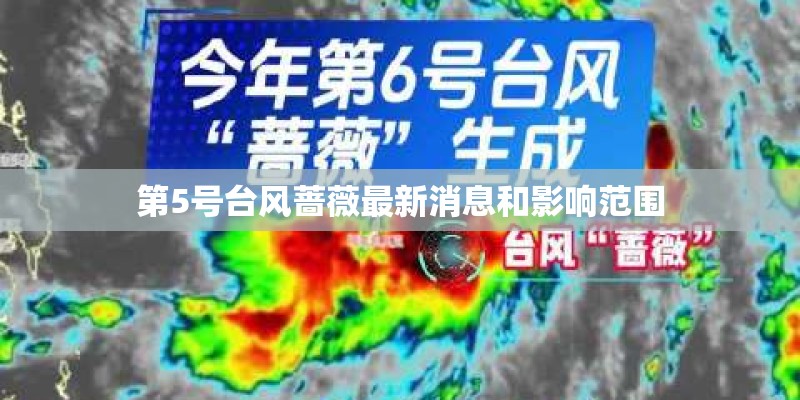 第5号台风蔷薇最新消息和影响范围