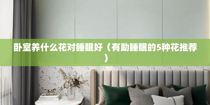 卧室养什么花对睡眠好（有助睡眠的5种花推荐）