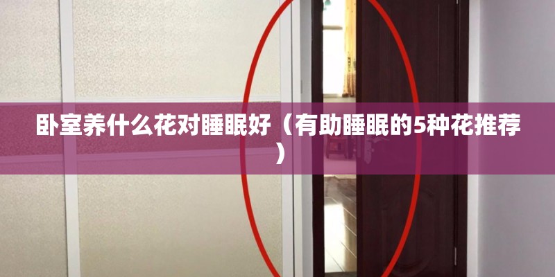 卧室养什么花对睡眠好（有助睡眠的5种花推荐）