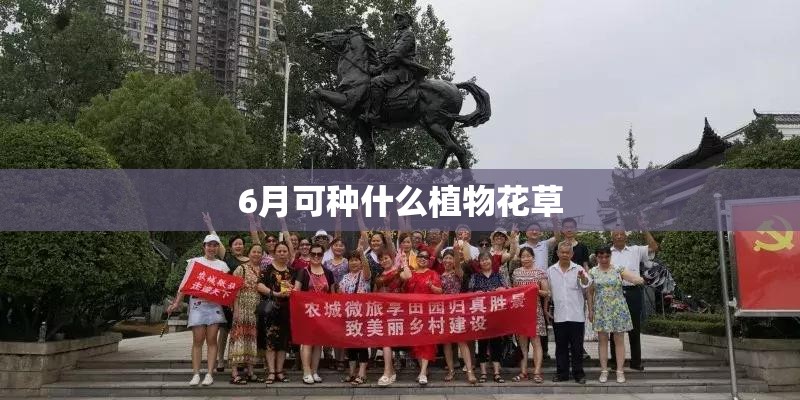 6月可种什么植物花草