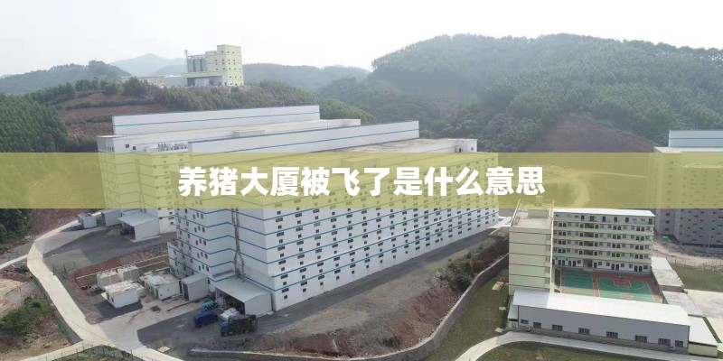 养猪大厦被飞了是什么意思 养猪大厦被飞了是什么意思