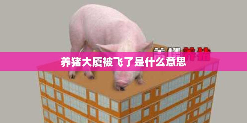 养猪大厦被飞了是什么意思 养猪大厦被飞了是什么意思