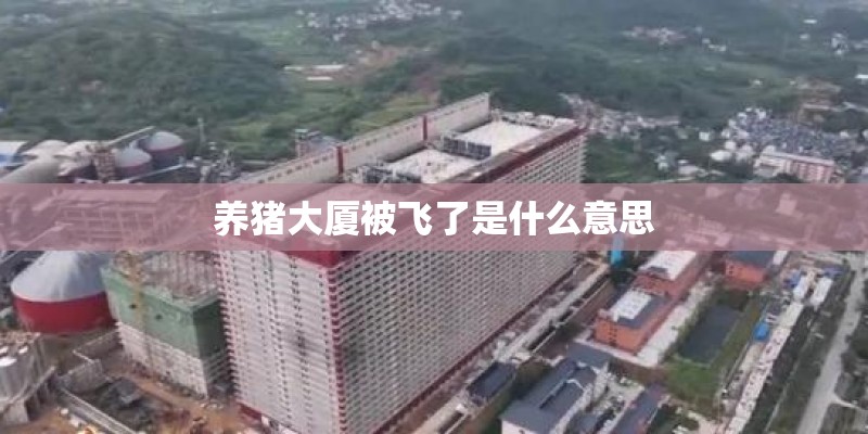 养猪大厦被飞了是什么意思 养猪大厦被飞了是什么意思