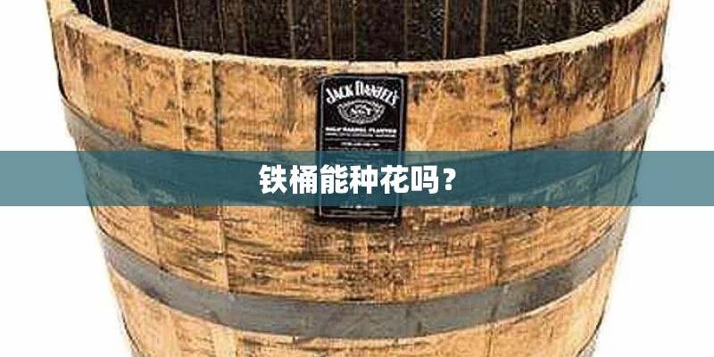 铁桶能种花吗？