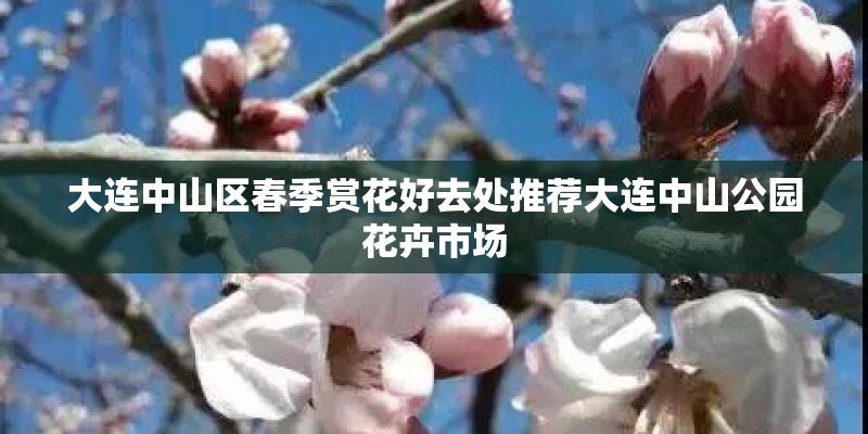 大连中山区春季赏花好去处推荐大连中山公园花卉市场