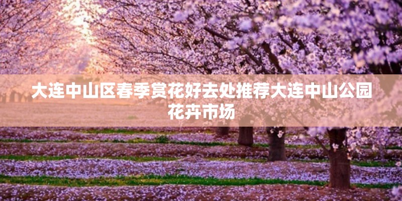 大连中山区春季赏花好去处推荐大连中山公园花卉市场