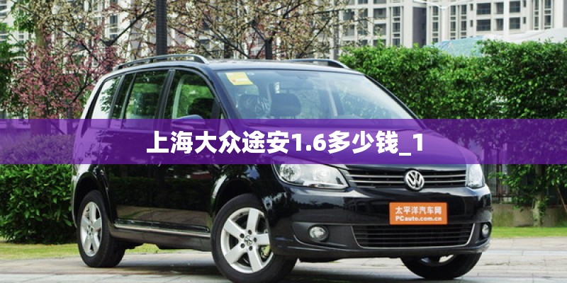 上海大众途安1.6多少钱_1