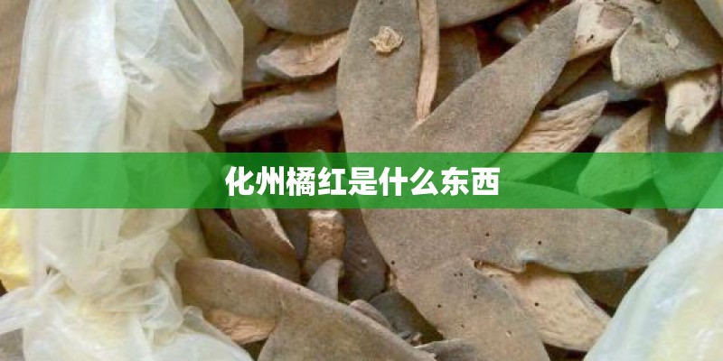 化州橘红是什么东西