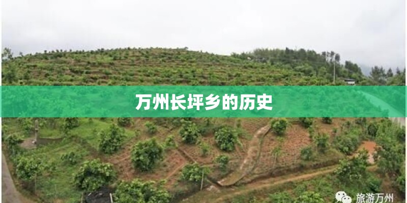 万州长坪乡的历史