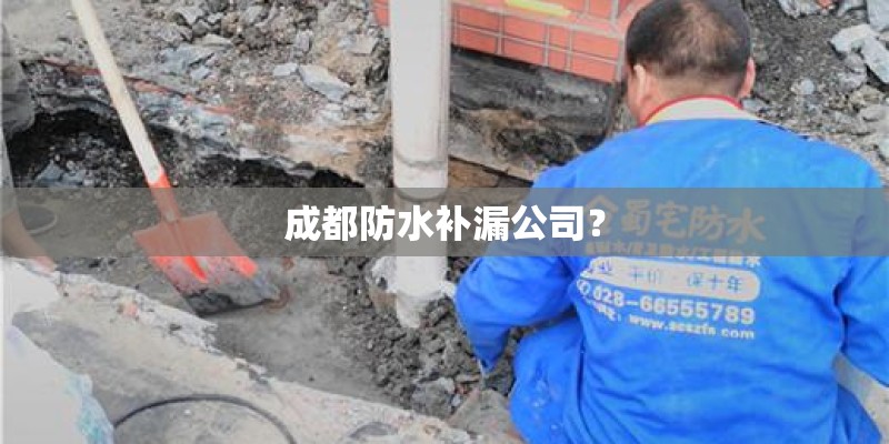 成都防水补漏公司？