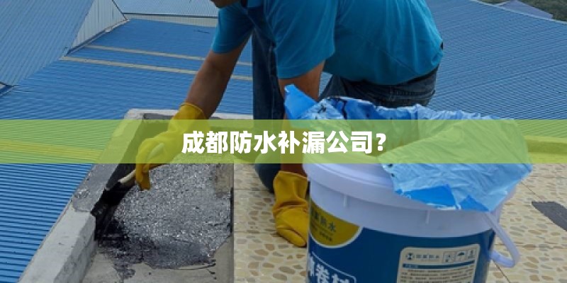 成都防水补漏公司？