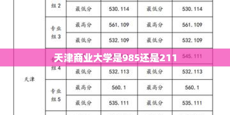 天津商业大学是985还是211