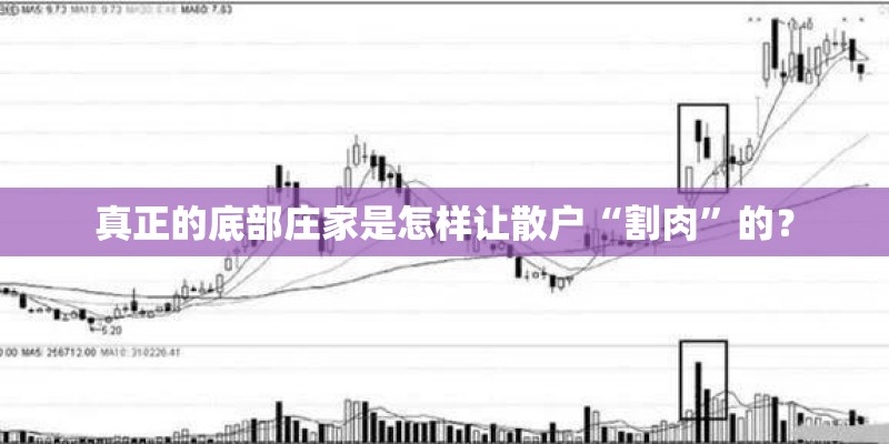 真正的底部庄家是怎样让散户“割肉”的？