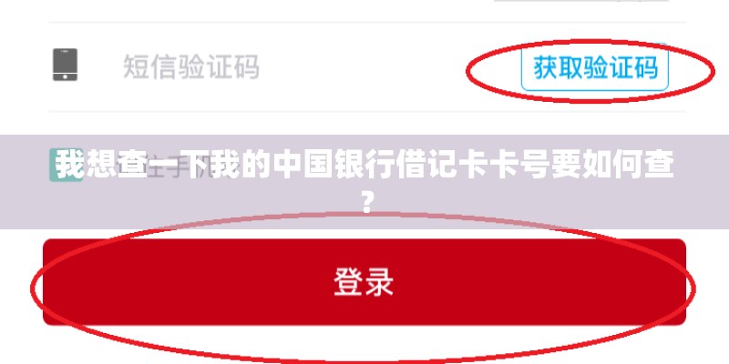 我想查一下我的中国银行借记卡卡号要如何查？