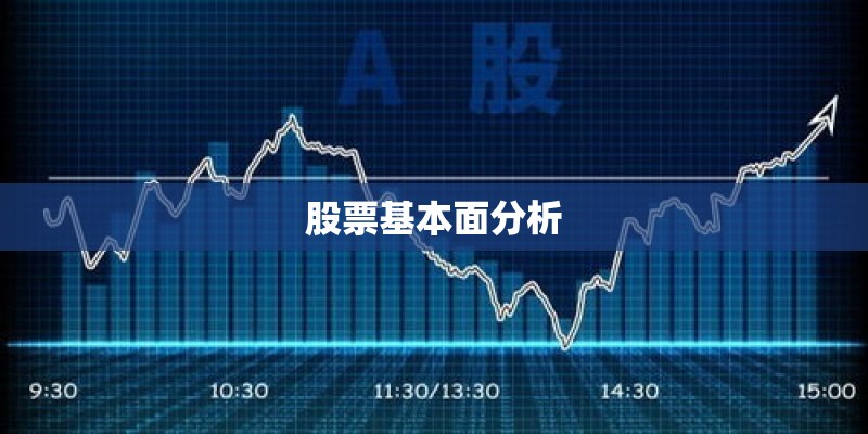 股票基本面分析