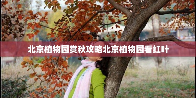 北京植物园赏秋攻略北京植物园看红叶
